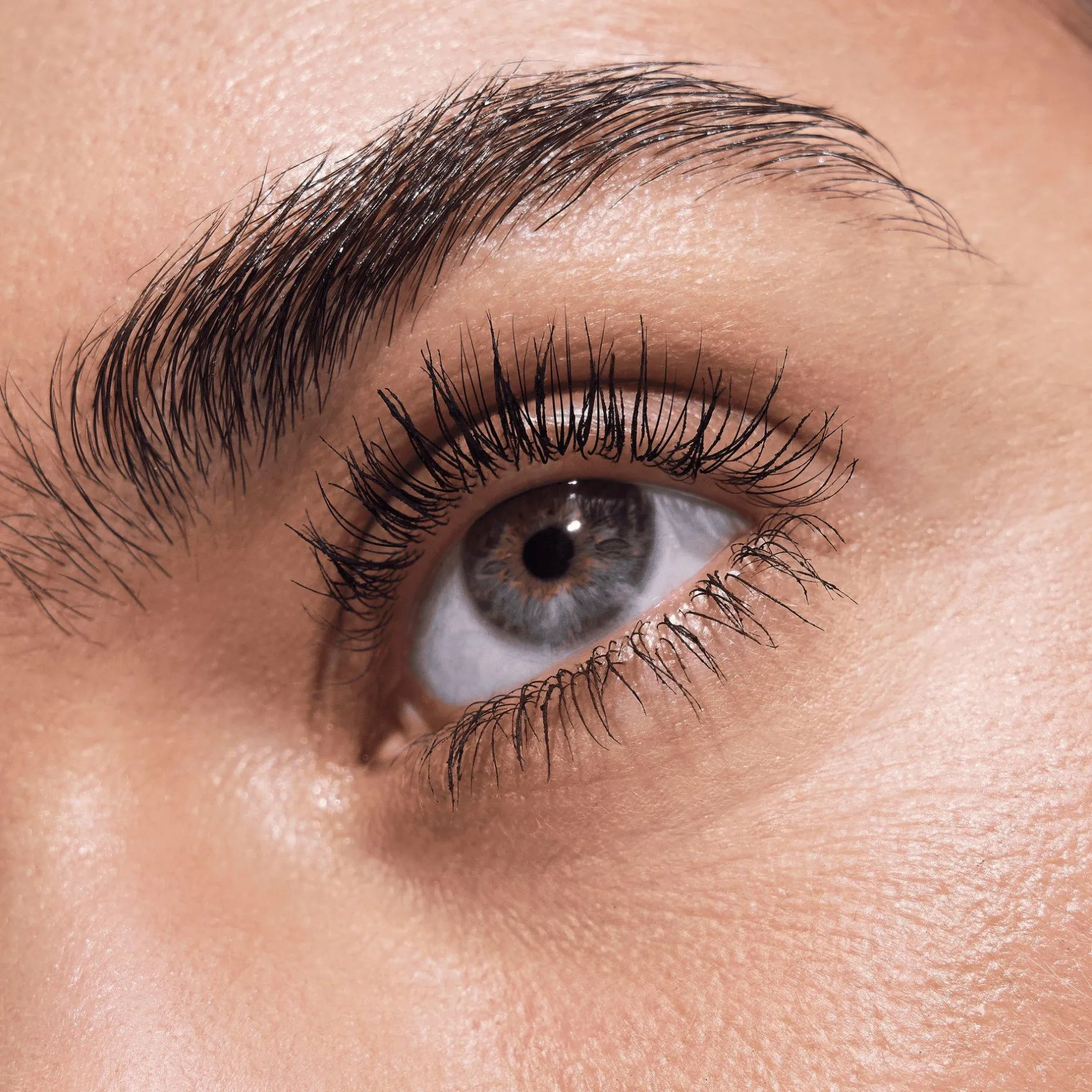 Mascara^essence Disney Pixar Finding Dory LIFT UP Volume & Lift Mascara Power Hold Waterproof