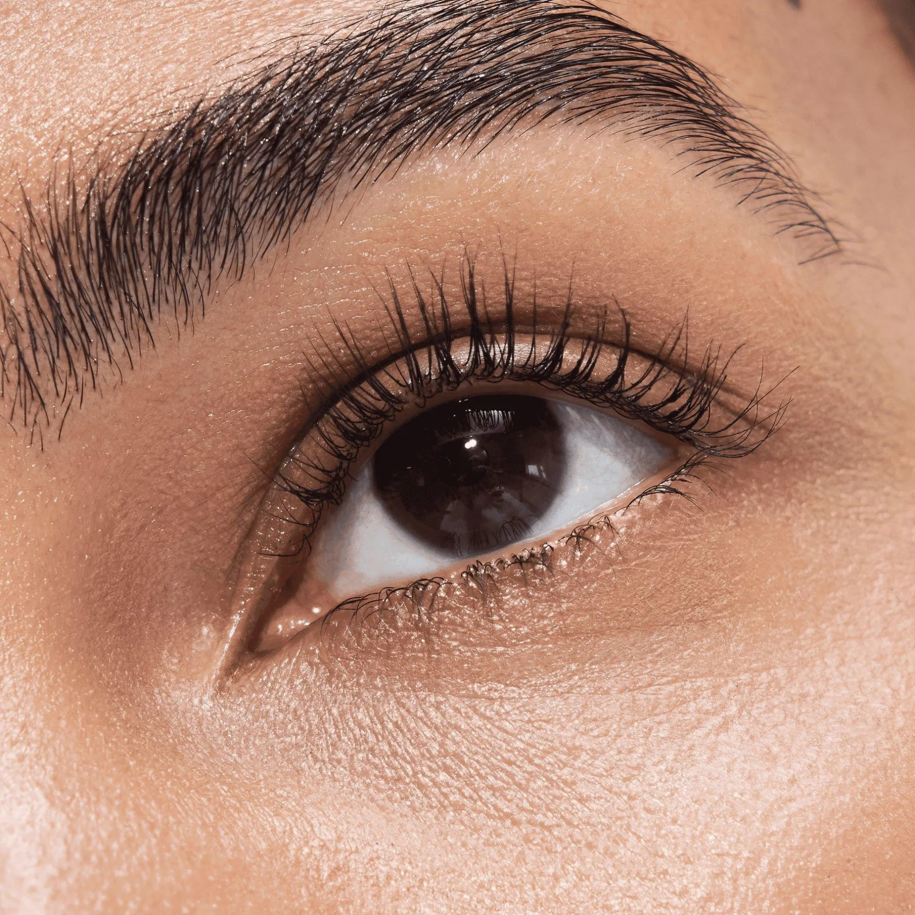 Mascara^essence Disney Pixar Finding Dory LIFT UP Volume & Lift Mascara Power Hold Waterproof