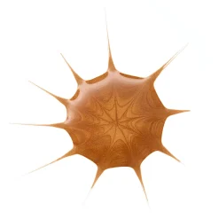 Contouring En Bronzer^essence DROP OF sunshine BRONZING DROPS