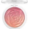 Blush^essence in the bloom'light blushlighter