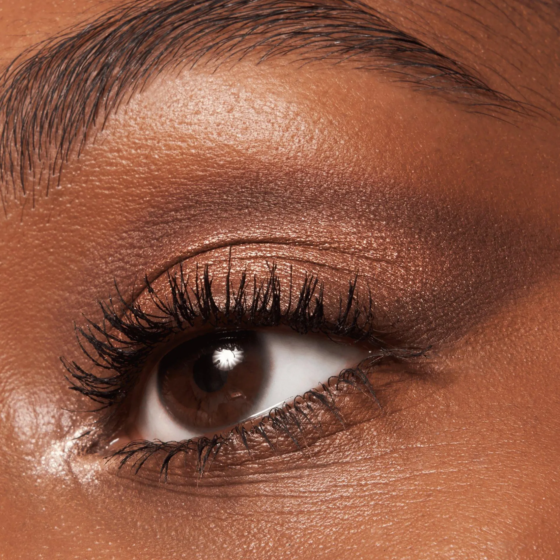 Oogschaduw^essence the BROWN edition oogschaduwpalet